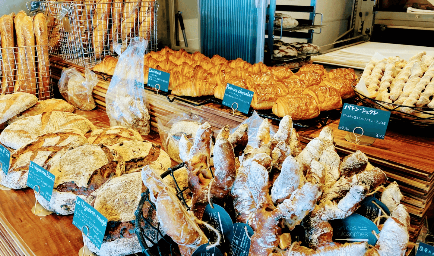 ファーストビュー